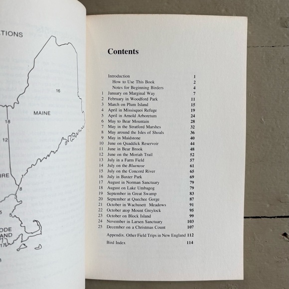 A Year with New England’s Birds A Guide to 25 Field Trips Bird New England - Picture 10 of 13